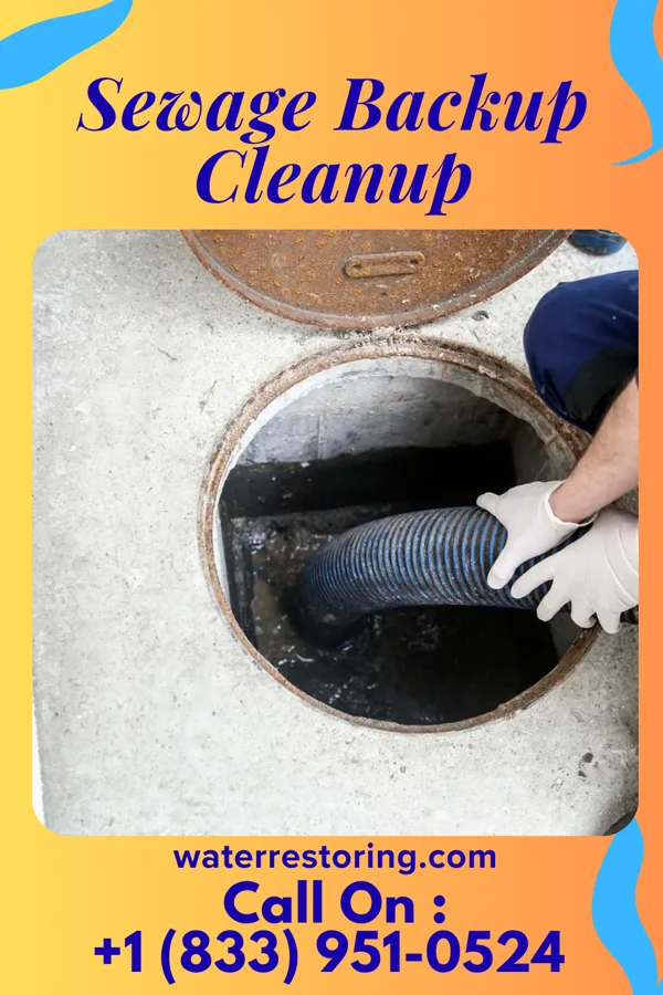 Sewage Backup Cleanup in Edmundson, MO