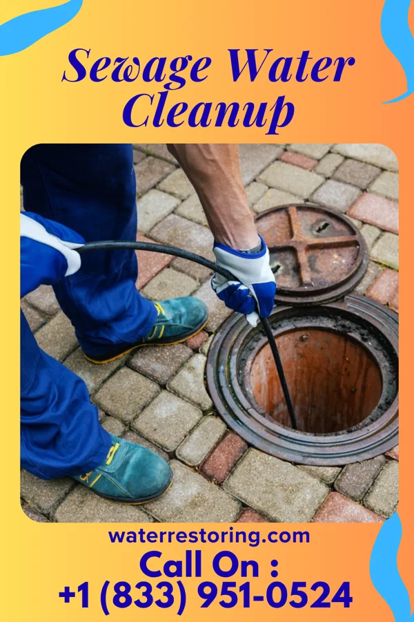 Sewage Water Cleanup in Edmundson, MO